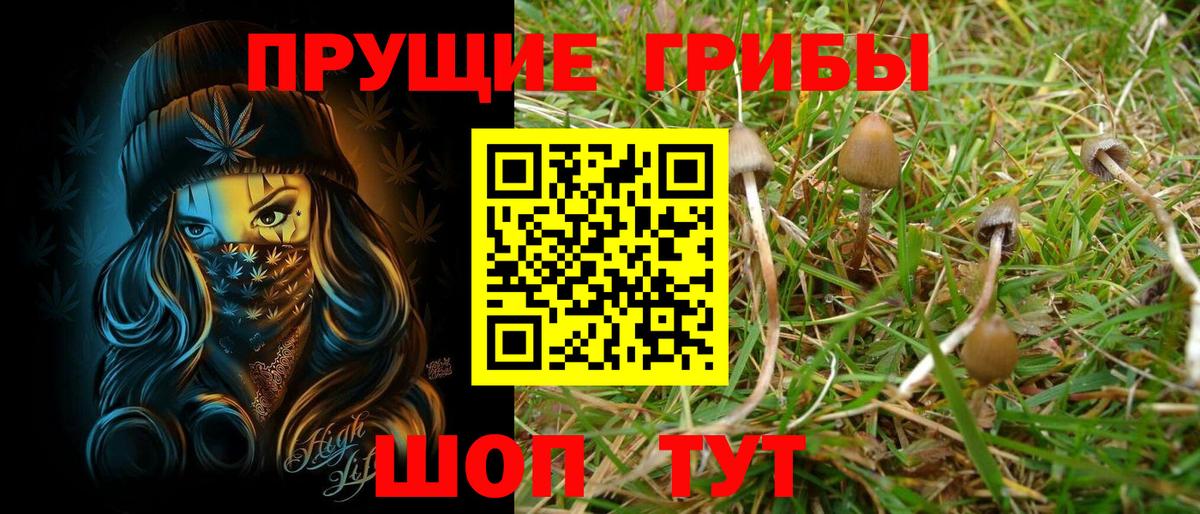 Псилоцибиновые грибы GOLDEN TEACHER  Вход с VPN  Медногорск 